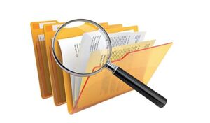 La ley de transparencia de las ONGs no atenta contra la libertad de asociación