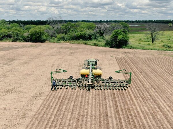 Maquinarias y diversificación agrícola impulsan el potencial de San Pedro