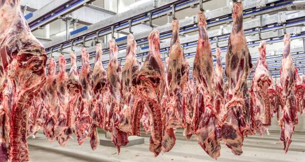 SENACSA: Filipinas realizará una auditoría con miras a habilitar exportación de carne bovina, porcina y aviar