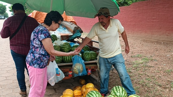 Buena producción de piña, melón y sandía en Concepción