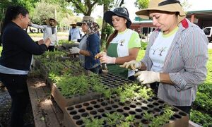 Centro Ambiental de Itaipú registra una óptima producción de plantines forestales y medicinales – Diario TNPRESS