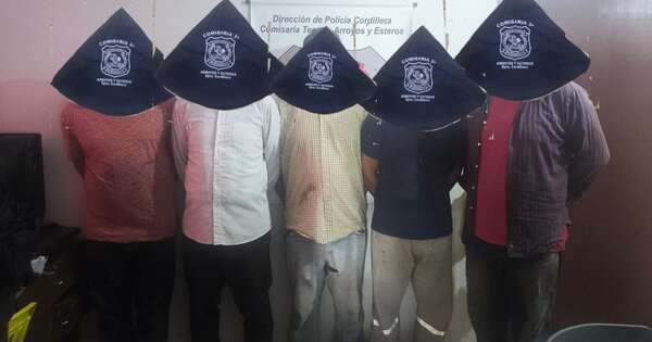 Diario HOY | Detienen a cinco hombres por tala ilegal de 100 árboles en Arroyos y Esteros