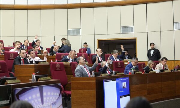 Senado actualiza ley que regula sector de mipymes