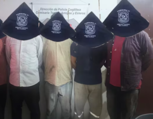 Cinco detenidos por talar ilegalmente 100 árboles en Arroyos y Esteros