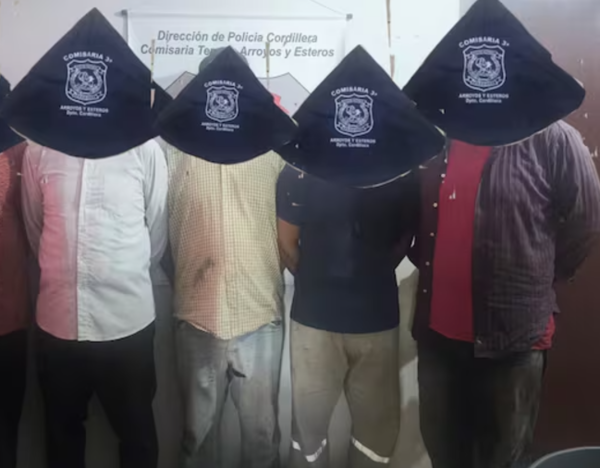 Cinco detenidos por talar ilegalmente 100 árboles en Arroyos y Esteros