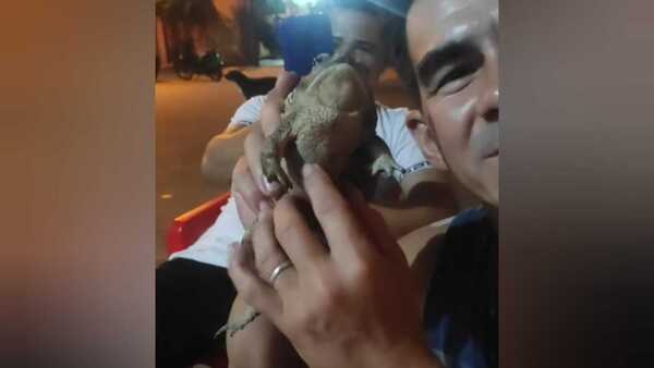 Las cábalas más llamativas para apoyar a la Albirró