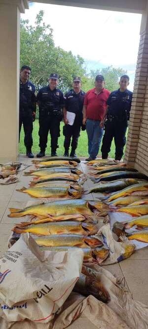 Ayolas: “Pescadores estarían infringiendo veda de pesca con apoyo de patrocinadores”, afirman - Nacionales - ABC Color