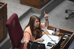 ¿Aumento de gastos de representación? Celeste Amarilla advierte sobre “mayoría aplastante” y “poca vergüenza” del cartismo - Política - ABC Color