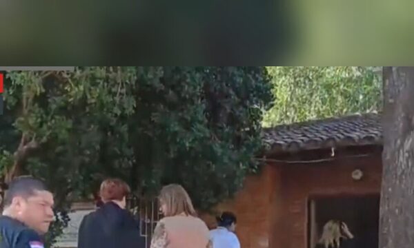 Allanaron juzgado en Benjamín Aceval