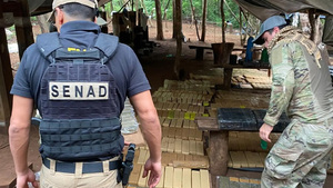 Desmantelan campamento y destruyen marihuana en Amambay