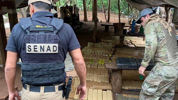 Desmantelan campamento y destruyen marihuana en Amambay