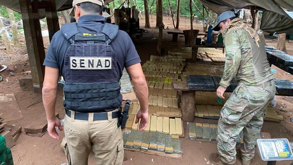 Senad destruye marihuana en reserva privada de Amambay