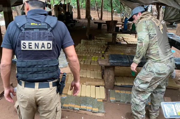 Destruyen 3.000 kilos de marihuana en Bella Vista Norte