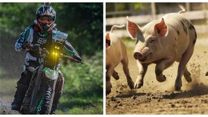 Por Campeonato de Rally Cross piden resguardar a vacas y chanchos umía y se desató la polémica