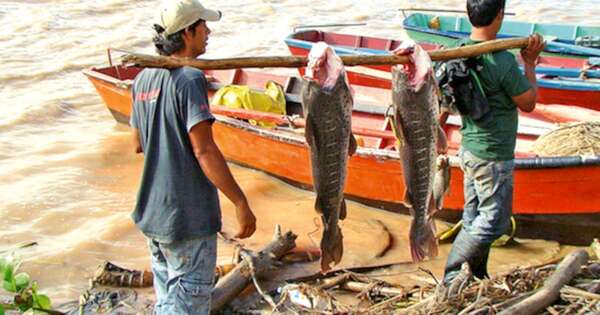 Diario HOY | Desde hoy, casi 4.500 pescadores cobran subsidio por veda pesquera