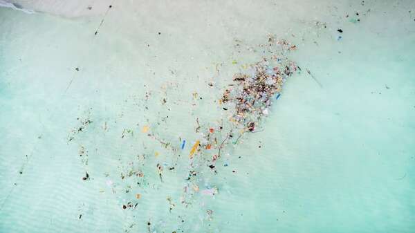 Desarrollan un plástico que se descompone en el agua del mar para reducir la contaminación - Ciencia - ABC Color