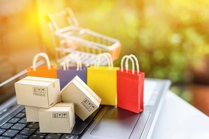 La figura legal de la venta anticipada | Columnas | 5Días