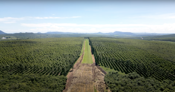 Finnish documentary highlights Paraguay's economic and energy potential - .::Agencia IP::.