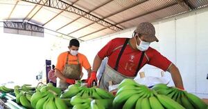 La Nación / Productores estiman inicio de las obras en diciembre