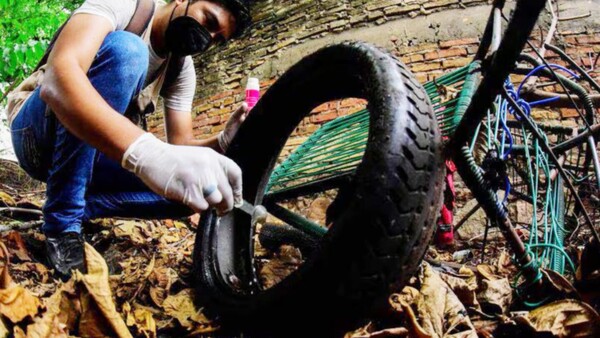 Sequía y los cuadros respiratorios retrasan predominancia de dengue