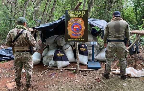 Hallan más de 2.000 kilos de marihuana en complejos del narcotráfico