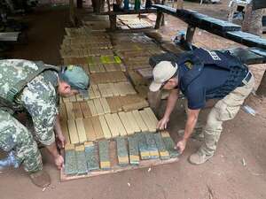 Desmantelan seis campamentos de producción de marihuana en Bella Vista Norte - Policiales - ABC Color