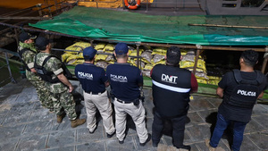 Cae cargamento millonario de papa ilegal
