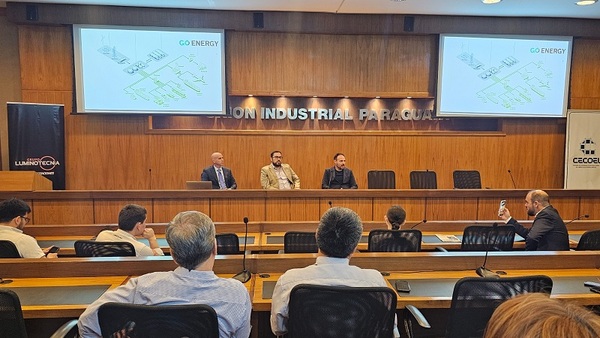 Proyectan invertir USD 500 millones en Industria Electrointensiva