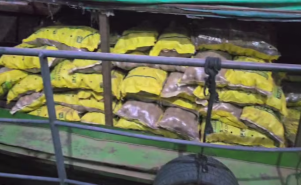 Incautan cargamento ilegal de papas en Itá Enramada