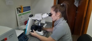 Aumenta demanda de usuarios en laboratorio de la USF de Arroyo Porá