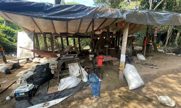 Destruyen 3.000 kilos de marihuana picada en Yby Yaú