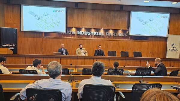 Hidrógeno verde: Empresa internacional evalúa invertir US$ 500 millones en Paraguay - Economía - ABC Color