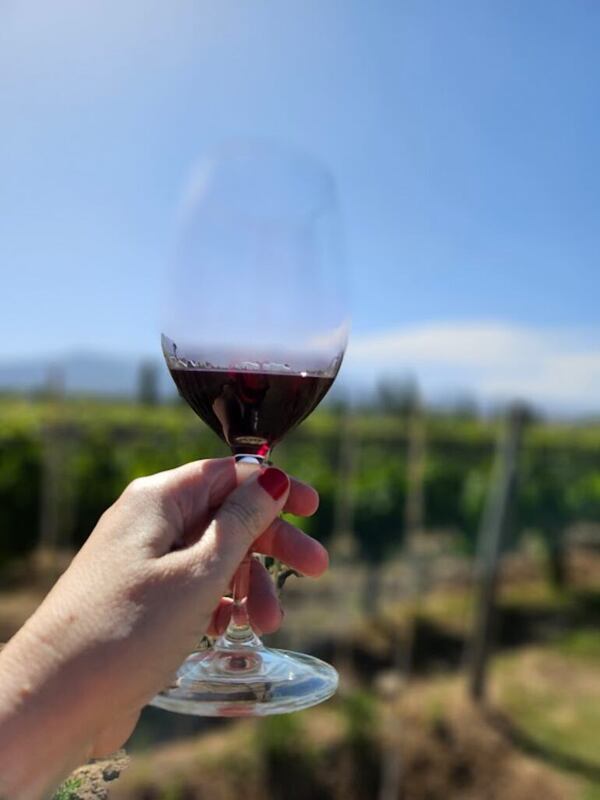 Los secretos de la cata: cómo apreciar realmente un buen vino tinto - Gastronomía - ABC Color