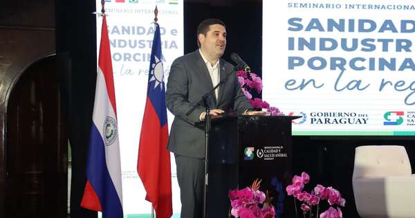La Nación / Instan al sector privado a dar valor agregado al rubro porcino para contribuir a envíos