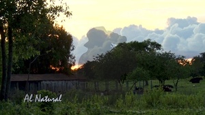 Al Natural: Contrastes naturales - SNT