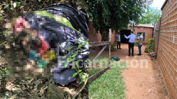 Horror: Desalmado hombre sup. mató a martillazos a su perro en Encarnación
