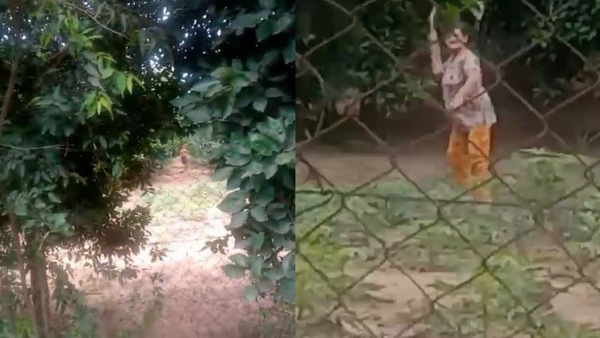 Le persigue con hondita a su vecina por limpiar su patio