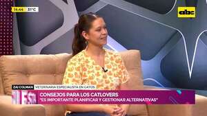 ¿Qué hago con mi gato en vacaciones o durante las fiestas?: consejos para los catlovers - Ensiestados - ABC Color