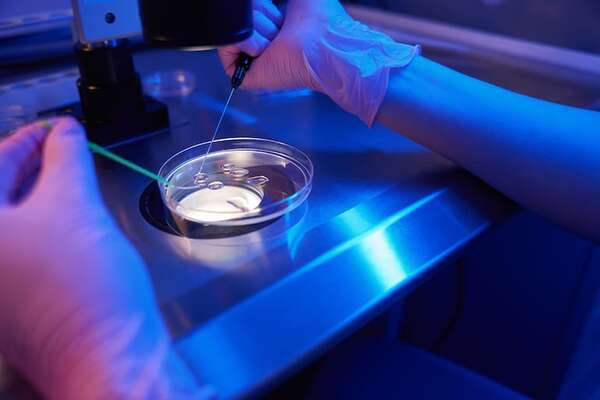 Película sobre los pioneros británicos de la fecundación in vitro espera concienciar y crear debate - Ciencia - ABC Color