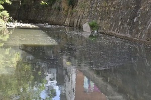 Estudiantes analizan contaminación por frigoríficos en Tablada