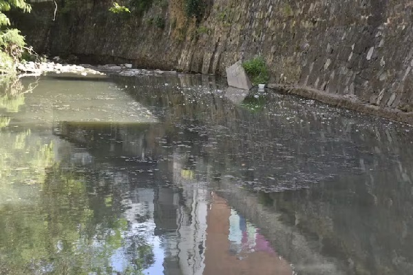 Estudiantes analizan contaminación por frigoríficos en Tablada