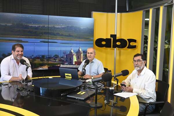 Urge destituir a Fleitas del PLRA por “no llamar a sesiones” del Directorio - Política - ABC Color