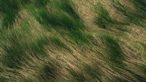 Muestra abierta De K a Z Eco-poéticas de la materia