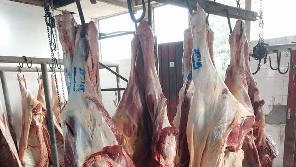 Imputan a funcionario municipal de Paraguarí y a unos presuntos abigeos