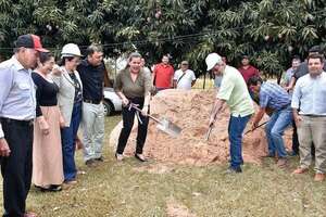 En la capital de Misiones se instalará la primera planta de procesamiento de mandioca - Nacionales - ABC Color
