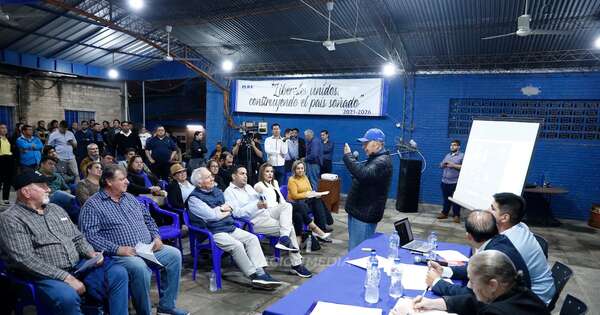 La Nación / PLRA sesionará de forma presencial para analizar iniciativas de leyes electorales