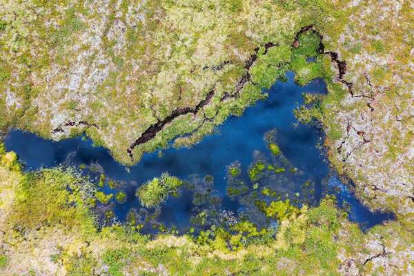 Este es el impacto del derretimiento del permafrost en la liberación de carbono - Ciencia - ABC Color