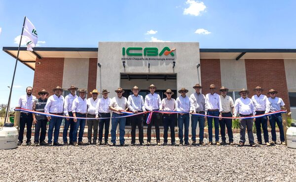 Cooperativas del Chaco buscan incrementar productividad ganadera con Instituto de Biotecnología Animal - .::Agencia IP::.