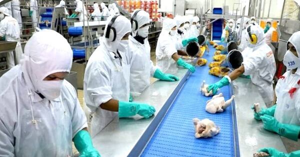 Diario HOY | Lengua, de una simple ‘chura’ a ser tema de discusión diplomática-comercial