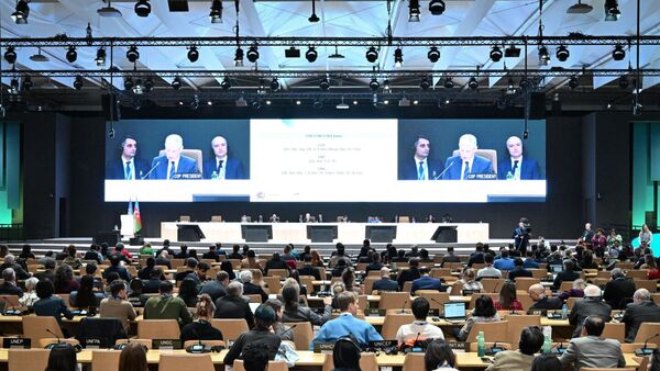 Cómo empezó y cómo terminó la COP29
